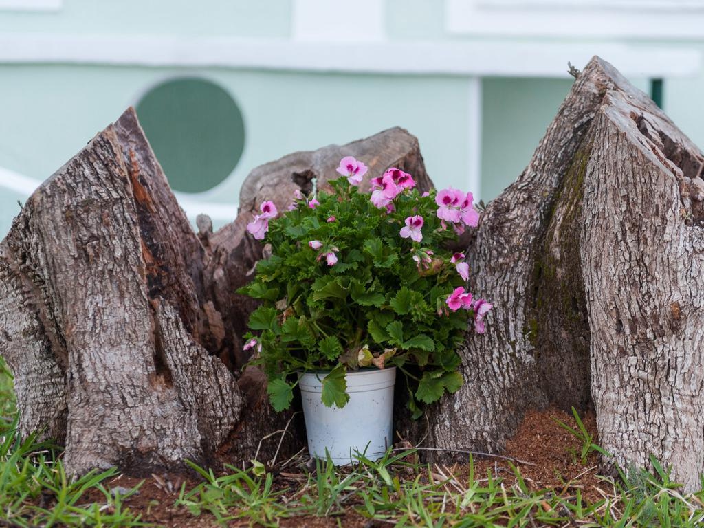 Bee'S Knees Retreat Villa Pesadha Ngoại thất bức ảnh